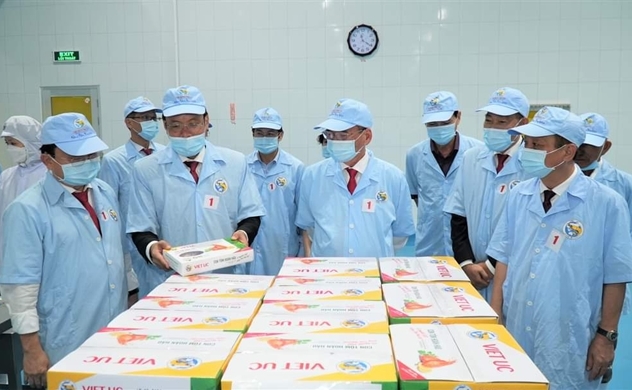 $17mn shrimp processing plant commences operations in southern Vietnam