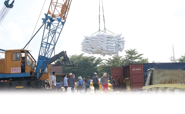 4M rice exports at $1.56bln