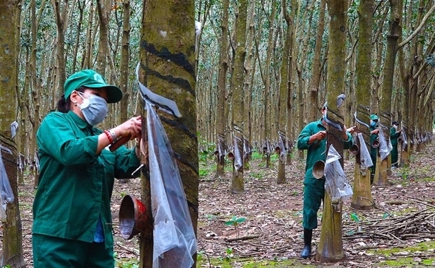 Vietnam rubber giants report Q1 profit plunge