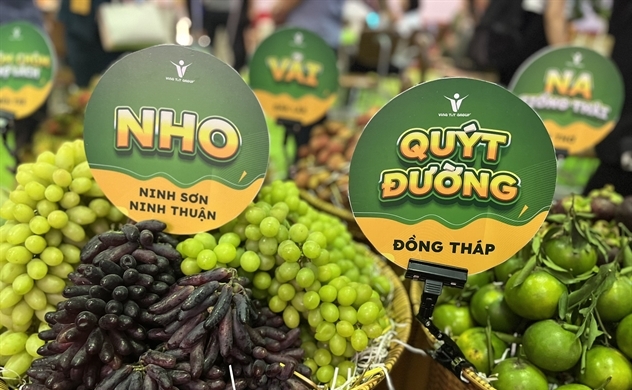 Ho Chi Minh City to boost online exports