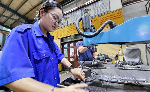 Vietnam sees steep decline in hiring of foreigners, overseas Vietnamese