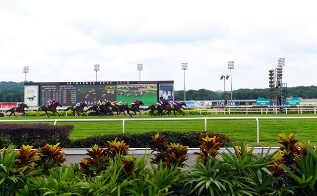 Áp lực thiếu nhà ở, Singapore sẽ biến trường đua ngựa duy nhất thành nhà ở xã hội