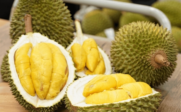 Insiders say the UK is a potential market for Vietnamese durian