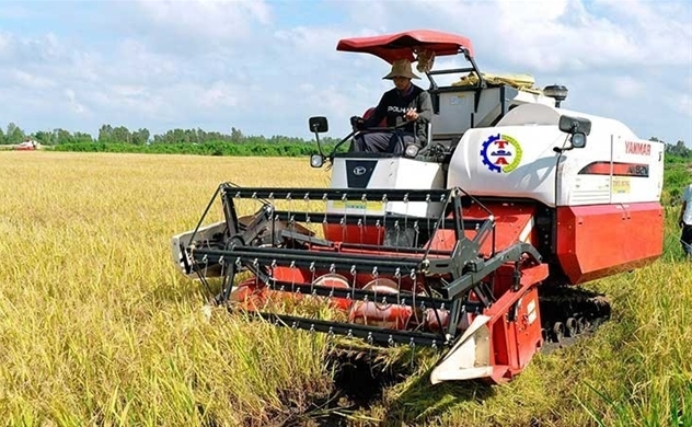 Vietnam bags over $2 bln from rice exports in five months, up 49%