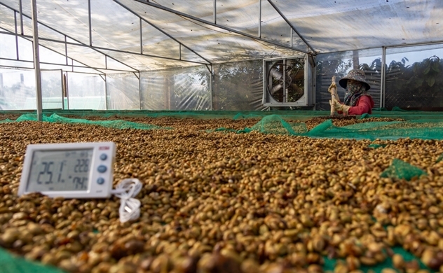 Vietnamese coffee sector attempts to fulfill new EU rule ads
