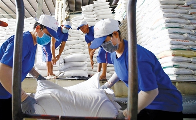 Vietnam remains biggest rice supplier for Philippines