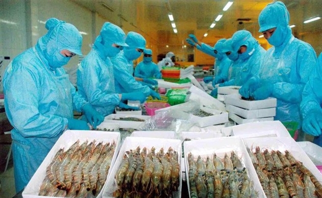 Viet Nam becomes world’s second largest shrimp exporter