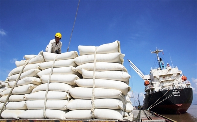 Xuất khẩu gạo thu về gần 2,4 tỉ USD