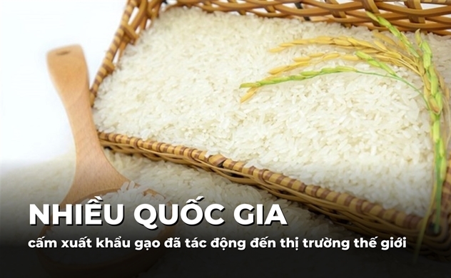 Nhiều nước cấm xuất khẩu gạo đã tác động đến thị trường thế giới