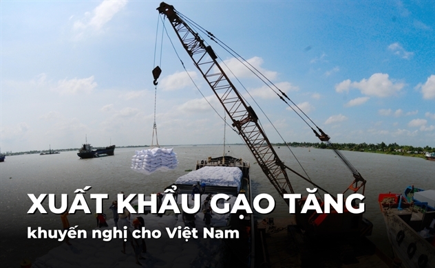 Xuất khẩu gạo tăng và khuyến nghị cho Việt Nam