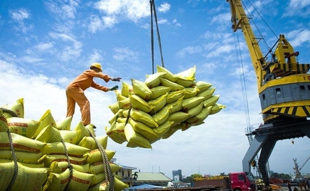 Petition to loosen business conditions for export-import of rice