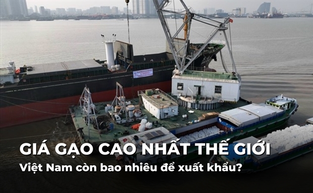 Giá gạo Việt Nam cao nhất thế giới, cả nước còn bao nhiêu để xuất khẩu?