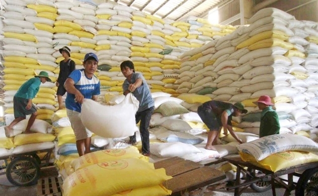Supporting farmers and businesses in the face of fluctuations in the rice market