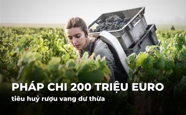 Pháp chi 200 triệu Euro tiêu huỷ rượu vang dư thừa