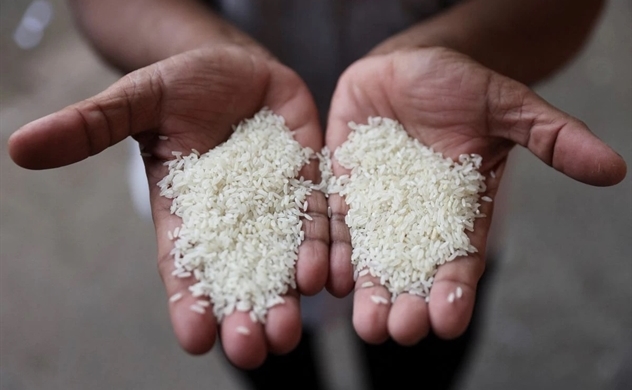 Global rice supplies tighten after India's July export ban