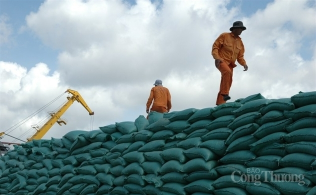 Vietnam’s rice exports hit record high of $3.66 billion in nine months