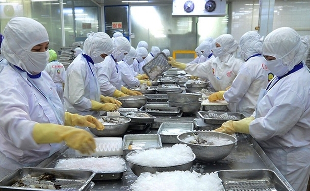 Expanding opportunities for exports