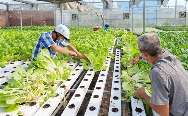 Công nghệ đóng góp 35% vào nông nghiệp bền vững tại Việt Nam