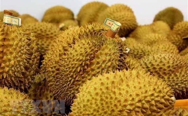 Durian export brings home $1.63 billion in 9 months