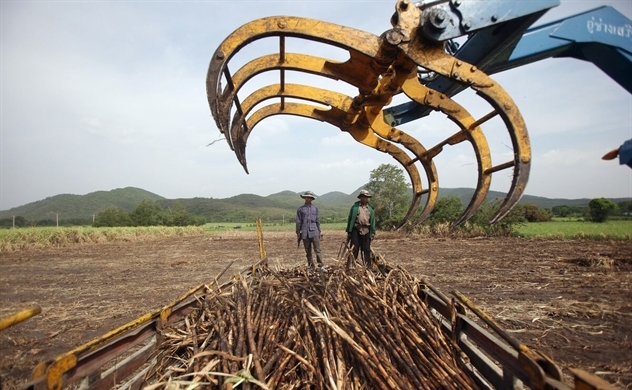 Thái Lan hạn chế xuất khẩu đường để kiểm soát lạm phát