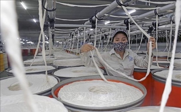 Vietnam's fibre exports foresee positive signals