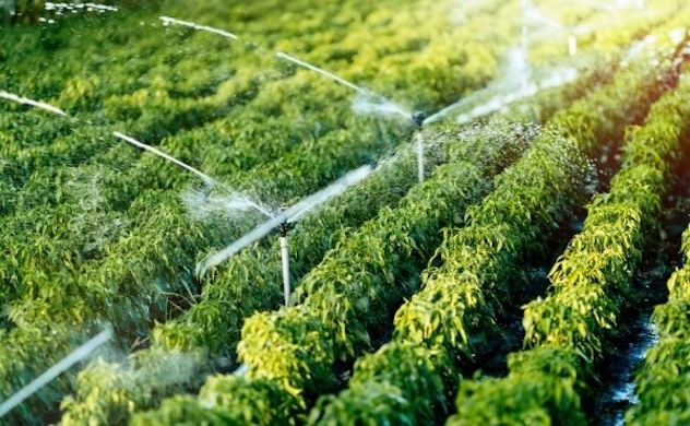 Science, technology enable agriculture to make breakthrough