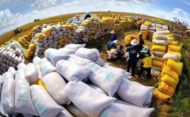 Xuất khẩu gạo Việt Nam lập kỷ lục 4 tỉ USD