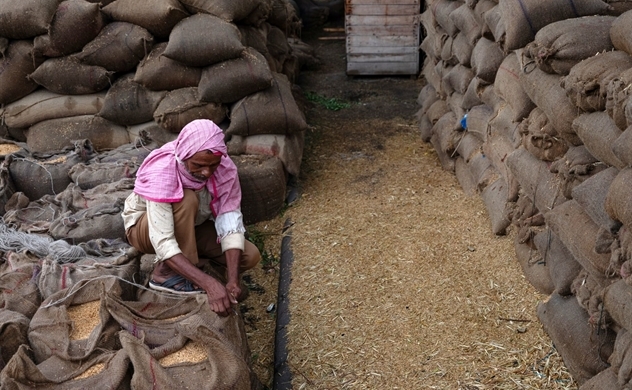 Ấn Độ có thể duy trì lệnh cấm xuất khẩu gạo đến năm 2024