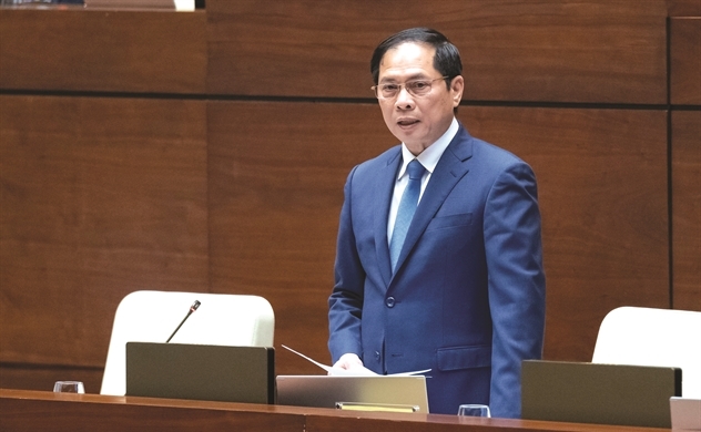 Bộ trưởng Ngoại giao trả lời chất vấn nội dung liên quan người Việt Nam ở nước ngoài
