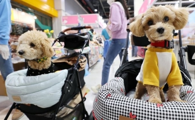 Hàn Quốc: Doanh số bán xe đẩy chó mèo nhiều hơn xe đẩy trẻ sơ sinh