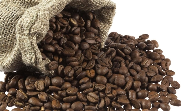 Giá cà phê trong nước giảm mạnh chưa từng thấy