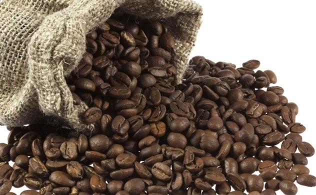 Giá cà phê trong nước tăng mạnh trở lại