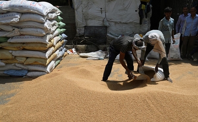 Thị trường nông sản trước biến động lớn do chính sách thương mại mới của Ấn Độ