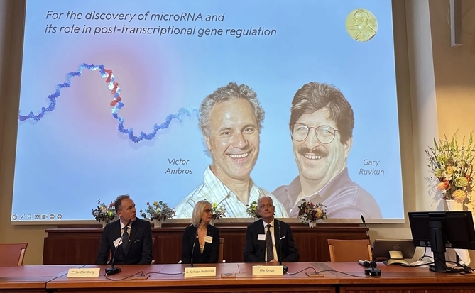 Hai nhà khoa học Mỹ nhận giải Nobel Y sinh 2024