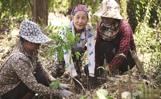 Chạy vượt rào EUDR