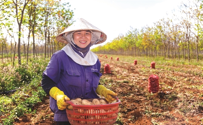 Lao động là hạnh phúc