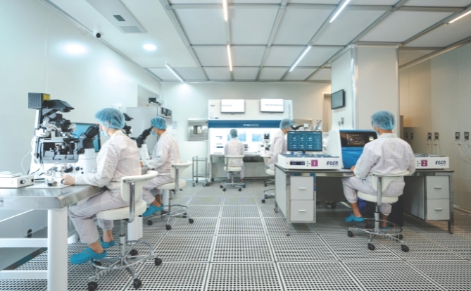 Việt Nam trên bản đồ IVF