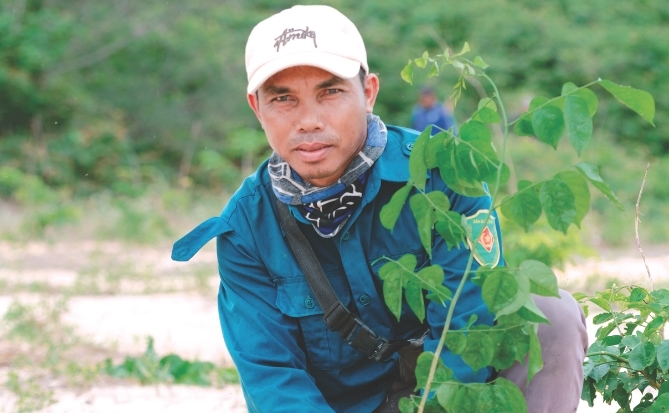 Trồng rừng trên sa mạc
