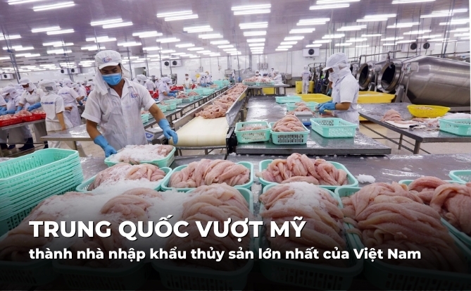 Trung Quốc vượt Mỹ thành nhà nhập khẩu thủy sản lớn nhất của Việt Nam