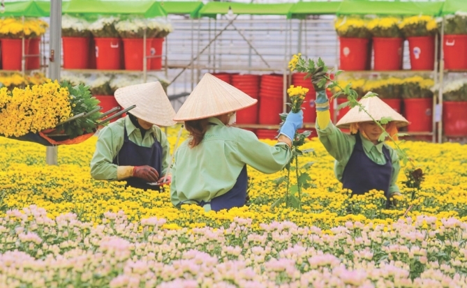 Cơ hội đưa 
