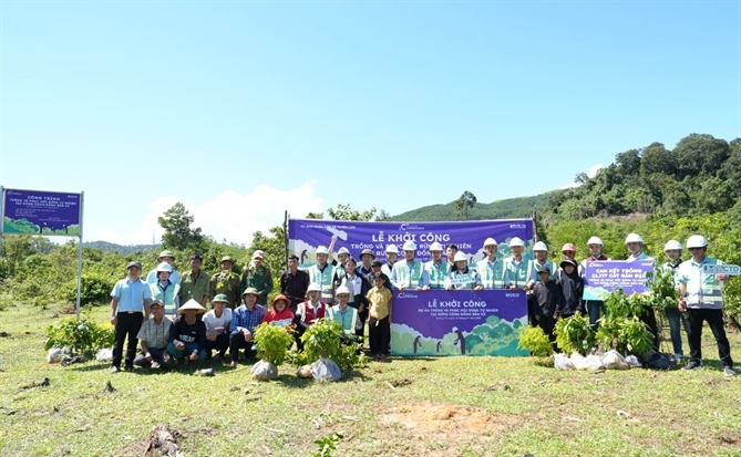 Coteccons trồng 11.777 cây bản địa góp phần hồi sinh rừng đầu nguồn tại Quảng Trị