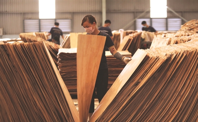 Tái cấu trúc cần tái đào tạo