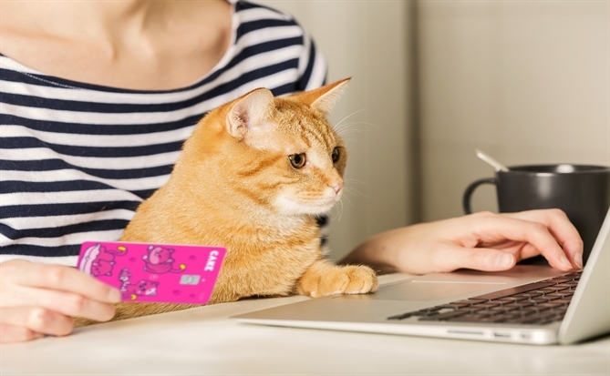 Cake ra mắt Click to Pay, bước vào cuộc đua thanh toán liền mạch