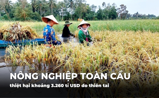 Nông nghiệp toàn cầu thiệt hại khoảng 3.260 tỉ USD do thiên tai