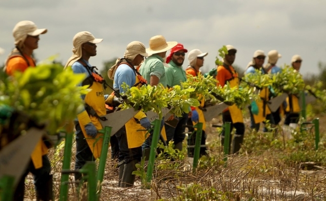 Chi phí loại bỏ carbon ngày càng tăng