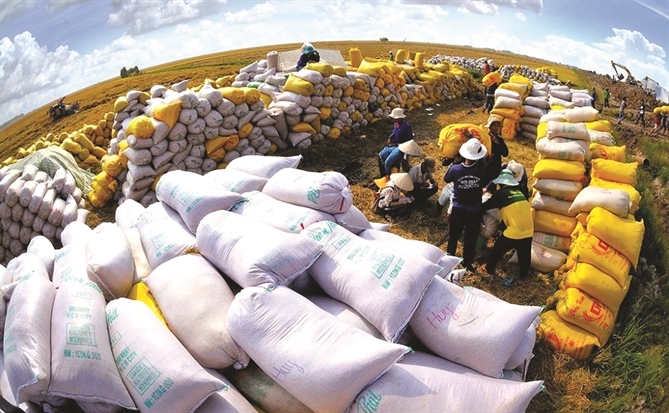 Thêm tỉ USD cho Vietnam Rice