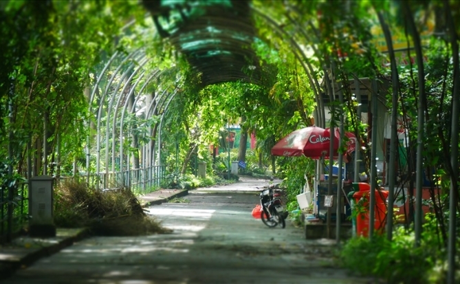 Cách Thảo Cầm Viên thoát khỏi lối mòn