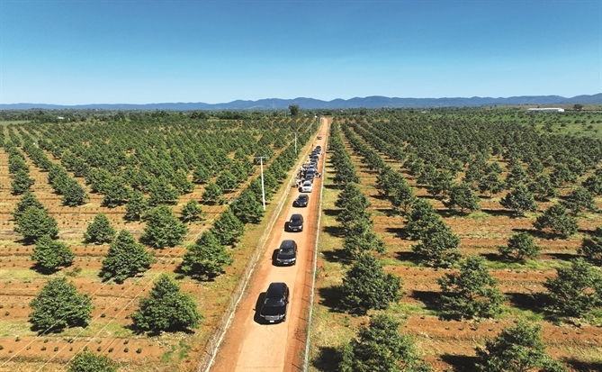 Bầu Đức 10 năm gánh nợ