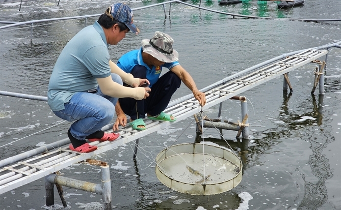 Sáng kiến nâng cao sức chống chịu vùng ven biển ĐBSCL