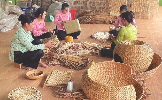 Sợi cói bản địa vào giỏ hàng toàn cầu